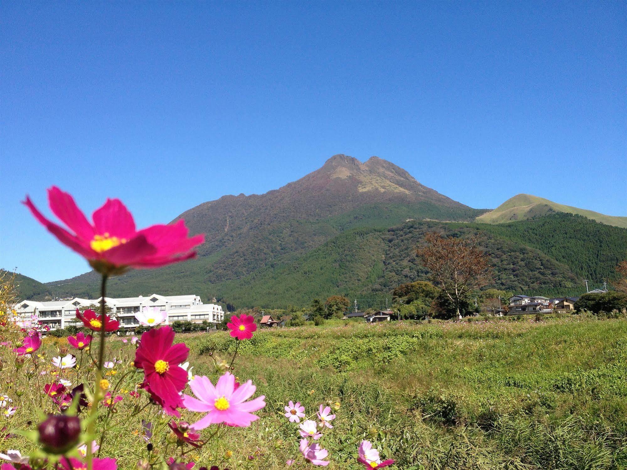 Yufuin Country Road Youth Hostel Экстерьер фото